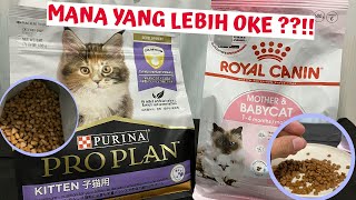 Proplan Kitten VS Royal Canin Mother amp BabyCat [upl. by Cassella]