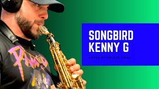 Kenny G  Songbird Cover by Balazs Kokai [upl. by Daub38]