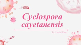 Cyclospora cayetanensis [upl. by Yreffoeg]