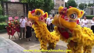 Lion Dance Foshan China [upl. by Malita]