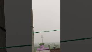 24072024 Ghevra in barish [upl. by Ilhsa781]