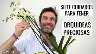 7 CUIDADOS MUY FÁCILES para tener ORQUÍDEAS INCREÍBLES más floración y duración  en20metros [upl. by Nehgam221]