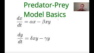 PredatorPrey Model LotkaVolterra Overview and Steady States [upl. by Auqinu]