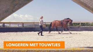 Longeren met touwtjes  PaardenpraatTV [upl. by Lisle]