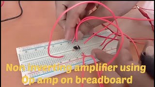 Non inverting amplifier using op amp 741 IC knowledgeandeducationbox [upl. by Brittany]