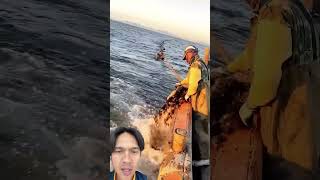 Pembersihan tali laut fish fishing automobile boat ship [upl. by Chavaree558]