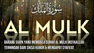 SURAH MULK RECITATION SURAH MULK TABARAK AL MULK HEART TOUCHING NIGHT TILAWAT [upl. by Ocko391]