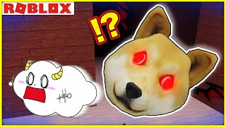 巨大な顔の犬から逃げて子猫を救い出せ！【ロブロックス・ROBLOX】｜ゲーム実況｜★サンサンキッズGAMES★ [upl. by Ennayhc861]