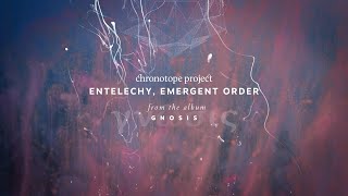 Entelechy Emergent Order – Chronotope Project [upl. by Raddy909]