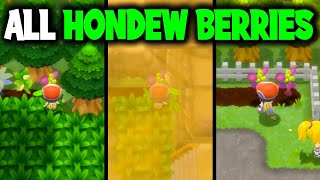 ALL HONDEW BERRY LOCATIONS ON POKEMON BRILLIANT DIAMOND AND SHINING PEARL [upl. by Rox]