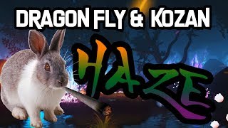 Dragon Fly amp Kozan  HAZE prod KisumBeatz amp PrymusBeats Offizielles Musikvideo [upl. by Adran594]