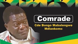 Cde Bongo Mabalengwe Mdlankomo Memorial [upl. by Dayna]