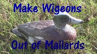 Turn old mallard hen decoys into wigeons [upl. by Sallyann116]