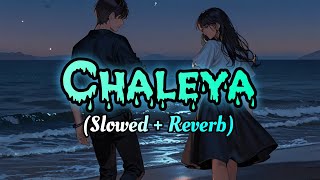 Chaleya Slowed  Reverb Shah Rukh Khan  Nayanthara  Atlee  Anirudh  Arijit S Shilpa R [upl. by Ainej867]