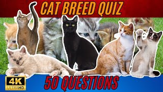 Cat Breeds Quiz 50 Questions Only True Cat Lovers Can Answer [upl. by Kamillah]