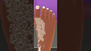 StepbyStep Pedicure Makeup Tutorial for Gorgeous Feet [upl. by Nnylsaj940]