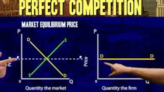 Perfect competiton Demand curve for individual producer [upl. by Ardnala]