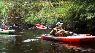 Paddling the Rancocas Creek Pine Barrens to the Delaware River [upl. by Denton]