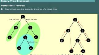 Binary Tree Traversal Preorder Inorder Postorder in Data Structures [upl. by Ennaharas]