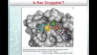 Oncogenes II amp Tumor Suppressors I [upl. by Suhpoelc]