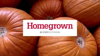 Homegrown  How to Pick and Keep the Perfect Pumpkin [upl. by Lindgren]