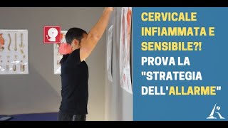 CERVICALE sensibile e quotinfiammataquot Prova la quotSTRATEGIA DELL ALLARMEquot [upl. by Mcnutt]