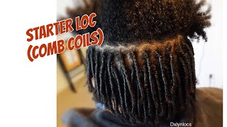 STARTER LOCS no gel no wax  WHAT TO EXPECT [upl. by Nikita]