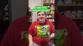 Pringles In Bag Craig Tries Pringles Mingles Dill Pickle And Sour Cream Flavor autistic tastetest [upl. by Alyl]