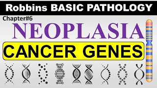 Chp6 Part4 Robbins Basic Patho  CANCER GENES  General Pathology  Neoplasia  Dr Asif Lectures [upl. by Lin795]