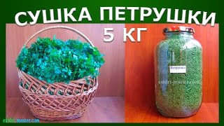 Сушка петрушки – 5 кг [upl. by Pik920]