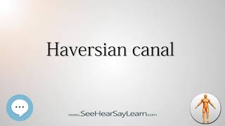 Haversian canal Anatomy Named After People 🔊 [upl. by Maurita]