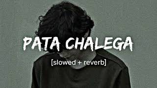 Pata chalega slowed  reverb [upl. by Sidnac714]