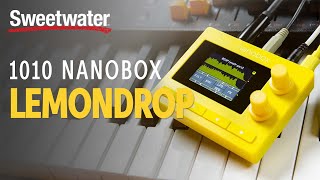 1010music Nanobox Lemondrop Granular Synthesizer Demo — Daniel Fisher [upl. by Solitta]