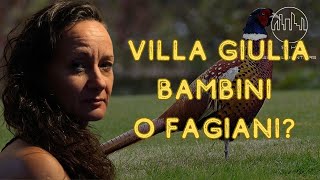 APPROFONDIMENTI BY LARA  VILLA GIULIA  BAMBINI O FAGIANI [upl. by Leahcimnaes]