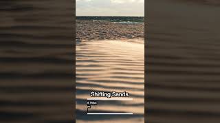 Melbournes Beaches The Great Sand Shuffle at Carrum Foreshore Park lumix gh6 lumixgh6 slowmo [upl. by Riley54]