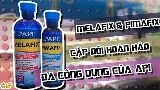 Vlog 023  Cặp đôi hoàn hảo Pimafix amp Melafix đa công dụng  Pimafix and Melafix of API [upl. by Nyloc732]