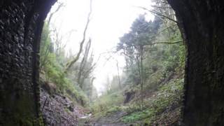 The old Tunnel at Yelverton [upl. by Newnorb423]