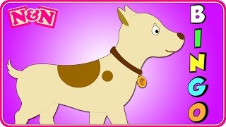 Bingo Dog Song and Nursery Rhymes for Babies and Toddlers by Nellie and Ned [upl. by Dierolf]