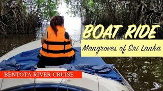 Boat Ride Through Mangroves in Bentota SRI LANKA [upl. by Hilar610]