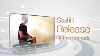 Biceps Femoris Static Release [upl. by Ahsienek]