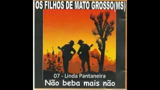 CD de Os Filhos de Mato Grosso do Sul [upl. by Eenolem103]