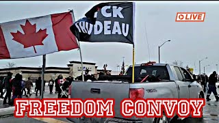 Canadian Truckers Freedom Convoy Ottawa 🇨🇦 live Canada freedom freedomconvoy2022 trucks [upl. by Womack584]