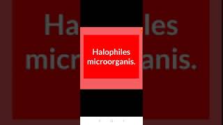 Halophiles microorganism [upl. by Hun]