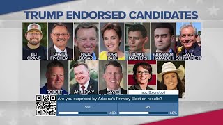 Trumpendorsed candidates shinning in AZ primary election [upl. by Amling117]