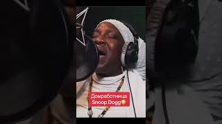 Snoop dog домработница cover snoopdogg domrabotnitsa [upl. by Anilrac]