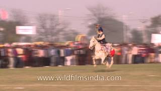 Nihang Sikh exhibiting the skills of tent pegging [upl. by Gladstone951]