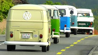 Classic VW Bus Jubilee Convoy  75 Volkswagen Campervan Transporter Kombi  VW Type 2 T1 VW T2 [upl. by Miran807]