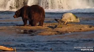 32 Chunk Visits The Falls  exploreorg  17 October 2024 [upl. by Nireves526]