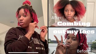 Combing out my locs in 3 days [upl. by Medwin]