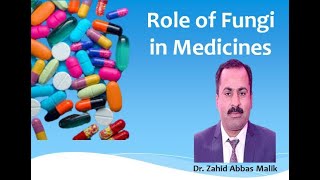 Role of Fungi in medicines EnglishUrduHindi for BS MS students by Dr Zahid Malik [upl. by Sloatman]